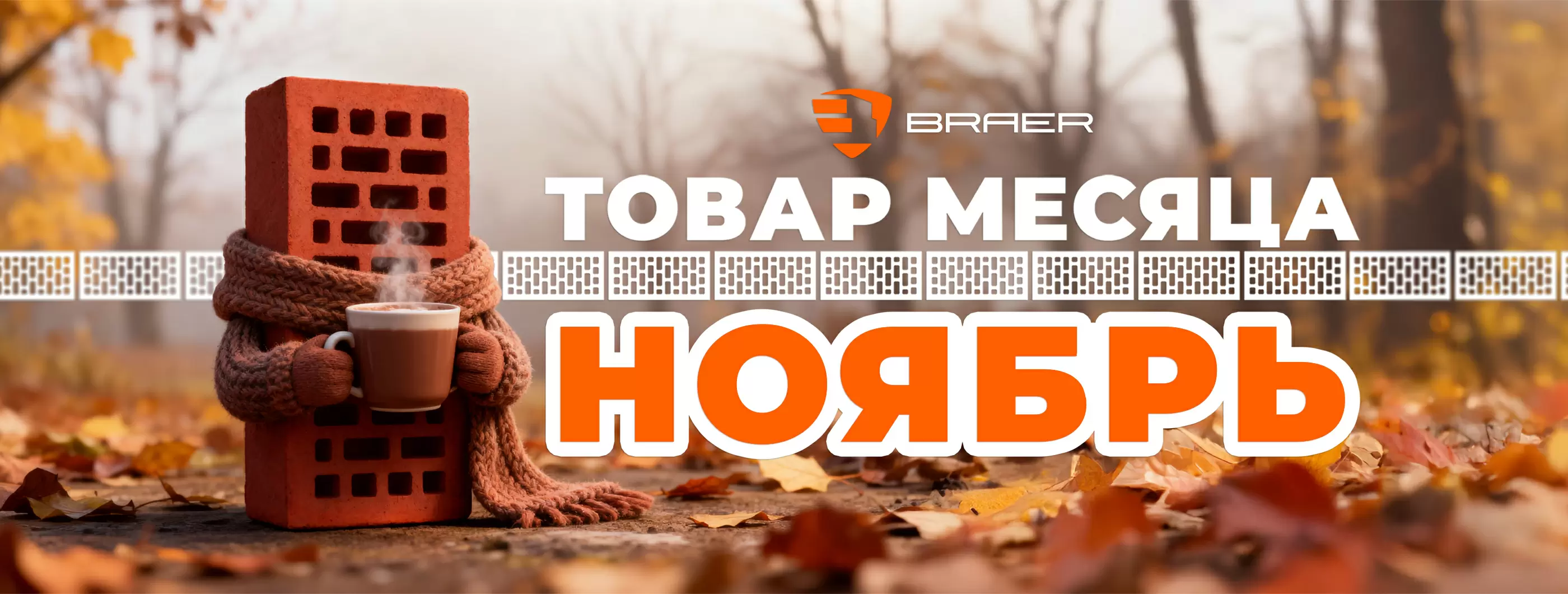 Акция от BRAER до -50% в ноябре на кирпич